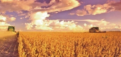 Soja: USDA eleva para 132 milhões de t estimativa de produção em 20/21