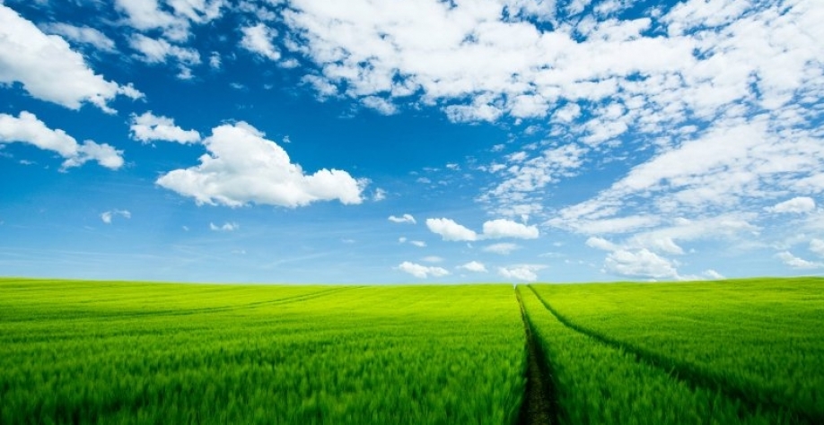 Evento destaca importância do seguro rural para cana-de-açúcar