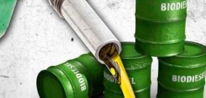Divergências sobre solução para próximo leilão de biodiesel