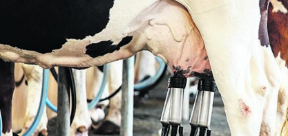 Leite: Preço pago ao produtor é recorde e tem alta de 1,25% em outubro