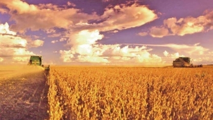 Soja/MT:Comercialização antecipada da safra 2020/21 chega a 60% do esperado