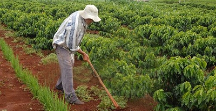 Após forte queda, emprego começa a melhorar no campo 