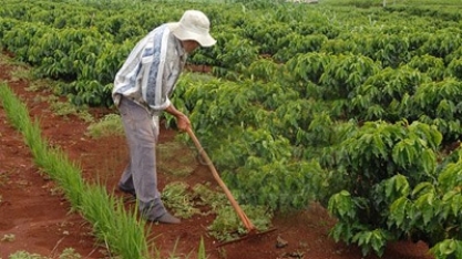 Após forte queda, emprego começa a melhorar no campo 