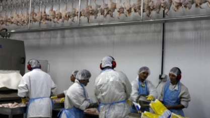 Frigoríficos das Américas aceleram automação após surtos de Covid-19