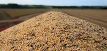 Falta de soja leva Brasil a importar dos EUA em transação rara