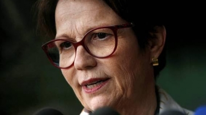 Maior presença de gado poderia ter minimizado queimadas no Pantanal