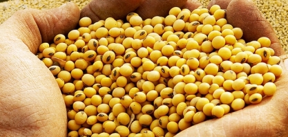 Importação de soja pelo Brasil deve avançar com cautela apesar de taxa zero
