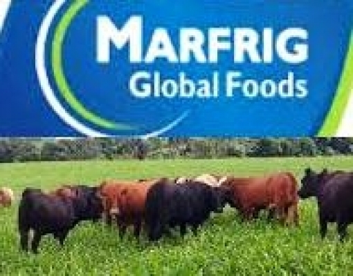 Marfrig compra produtora argentina de carne para hambúrguer
