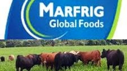 Marfrig compra produtora argentina de carne para hambúrguer