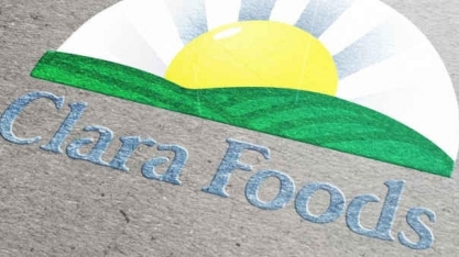 Minerva irá investir US$ 4 milhões em startup de alimentos Clara Foods