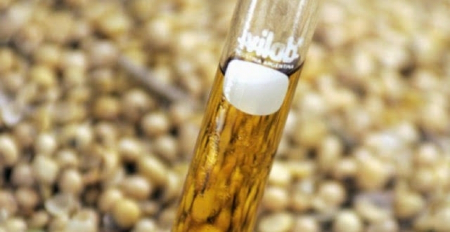 IBP defende importação de biodiesel após redução temporária da mistura