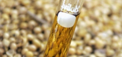 IBP defende importação de biodiesel após redução temporária da mistura