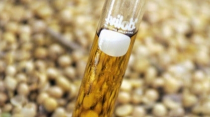 IBP defende importação de biodiesel após redução temporária da mistura