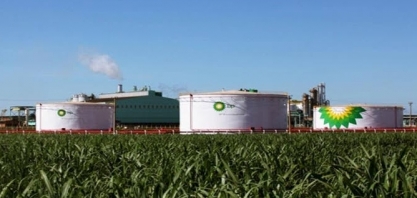 BP aposta no etanol brasileiro e vai investir mais de R$ 1 bi em canaviais