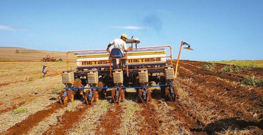 Exportações recuam, mas grãos mantêm alta no mercado interno