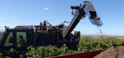 Adido do USDA mantém safra de café 20/21estimada em 67,9 mi sacas