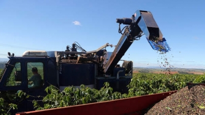 Adido do USDA mantém safra de café 20/21estimada em 67,9 mi sacas