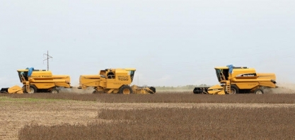 RS: Chuva deve impulsionar plantio de soja, mas chega tarde para milho