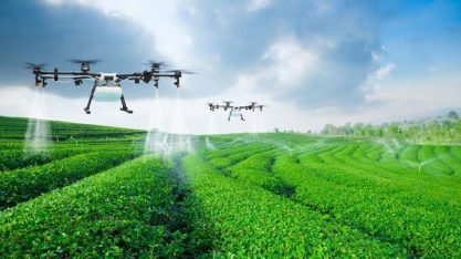 Esperança no abastecimento global,País investe pouco em tecnologia agrícola