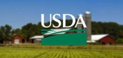 Área de plantio dos EUA pode atingir recorde em 2021, diz USDA