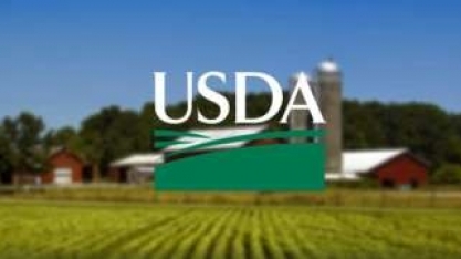 Área de plantio dos EUA pode atingir recorde em 2021, diz USDA
