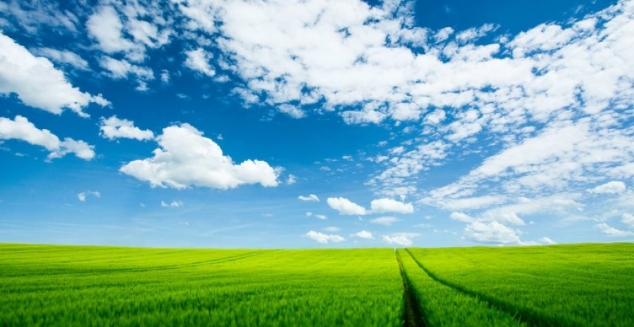 Projeto cria programa de crédito emergencial para cadeia produtiva da cana