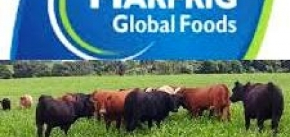 Marfrig registra lucro líquido de R$ 674 milhões no 3º trimestre de 2020