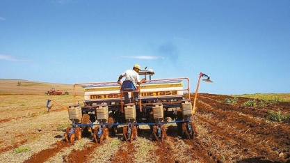 Plantio de soja chega a 1 mi de hectares por dia e quase recupera atraso
