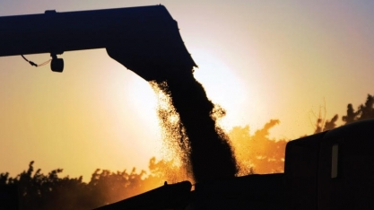 Balança do agro registra superávit recorde de US$ 75,5 bi de jan. a out.