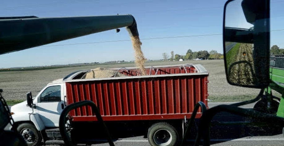 Demanda por frete rodoviário no agro sobe 6,5% no ano