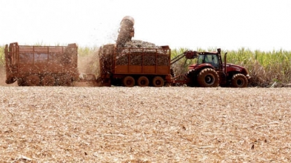 Seca reduz produtividade da cana em outubro;safra 20/21 deve acumular alta