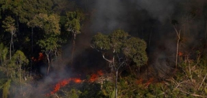 Incêndios na Amazônia brasileira aumentam em outubro