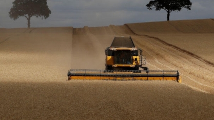 Agricultores dos EUA comemoram disparada no preço da soja;Brasil perde rali