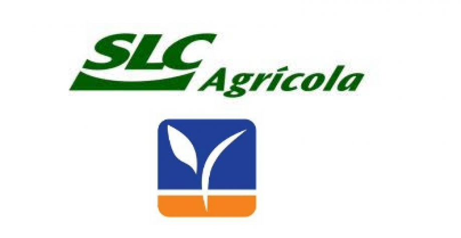 SLC Agrícola assina memorando para assumir operação da Terra Santa