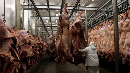 Elitizada, carne é desafio para pecuarista e para consumidor 