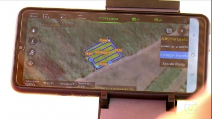 Coopercitrus tem aplicativo para agricultor conseguir mais produtividade