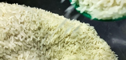 Arroz importado a US$ 600 servirá apenas para a indústria trabalhar