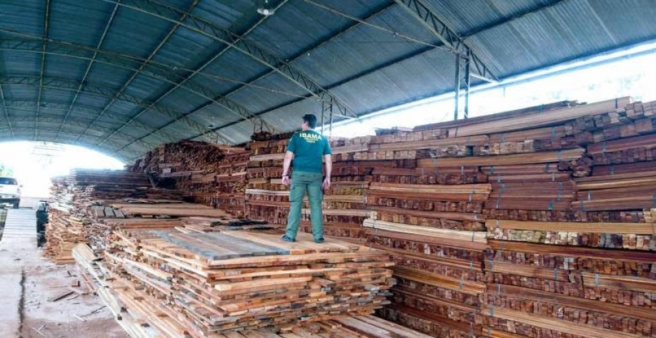 Diretor do Ibama derrubou licença para exportação de madeiras