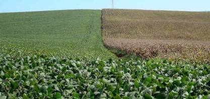 Safras & Mercado eleva projeções para colheitas de soja e milho em 2020/21