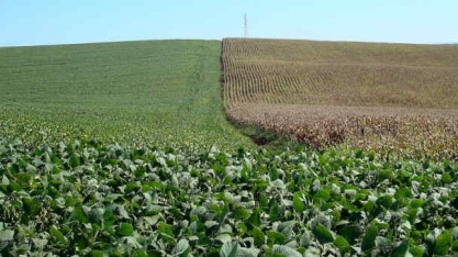 Safras & Mercado eleva projeções para colheitas de soja e milho em 2020/21
