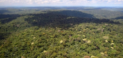 Só falta aplicar nossa ambiciosa lei ambiental–Por Cesario Ramalho da Silva