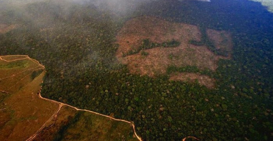 'Maçãs podres' entre produtores rurais desmatam e prejudicam agronegócio