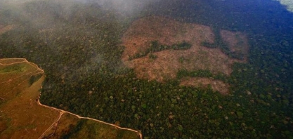 'Maçãs podres' entre produtores rurais desmatam e prejudicam agronegócio