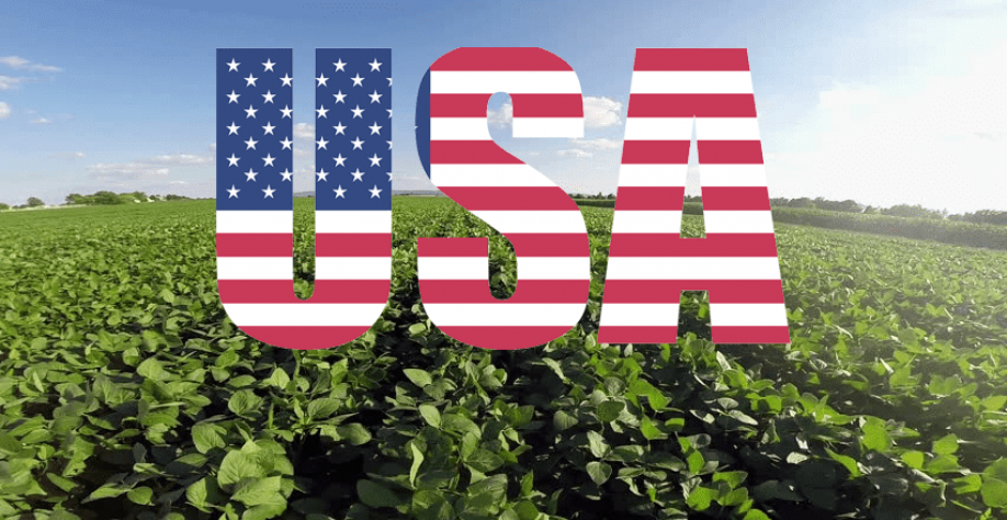Estoques de soja caem ainda mais nos Estados Unidos