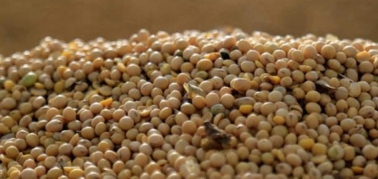 Importação de óleo de soja e arroz dispara com oferta argentina e dos EUA