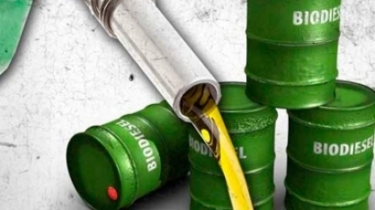 Leilão 77 de biodiesel negocia 1,4 bi l e preço cai mais de 20%
