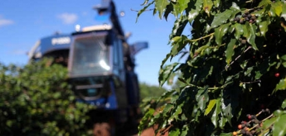 Produção de café deve recuar 15% na nova safra, diz Rabobank