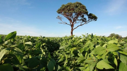 Governo e agro devem afinar discurso ambiental 