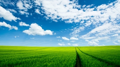 Produção da safra atual de cana-de-açúcar deve crescer 3,5%