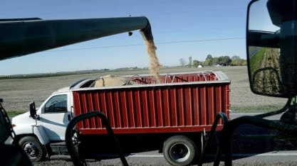 Com ou sem crise, boom de IPOs do agronegócio brasileiro deve continuar